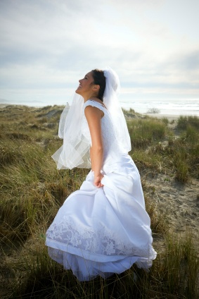 Wedding Dress Cleaning